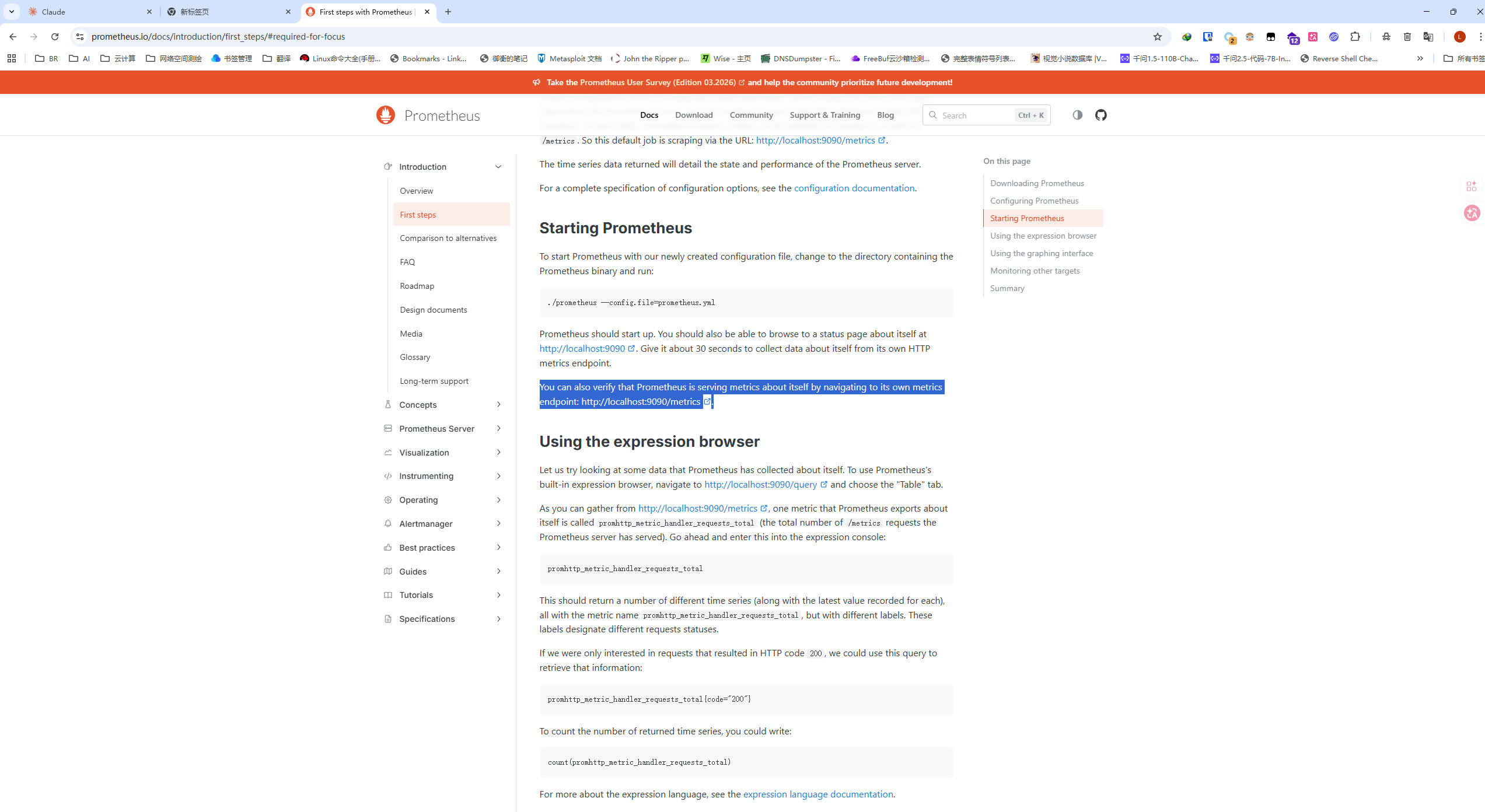 访问 /metrics 端点，成功获取 Prometheus 格式的监控数据