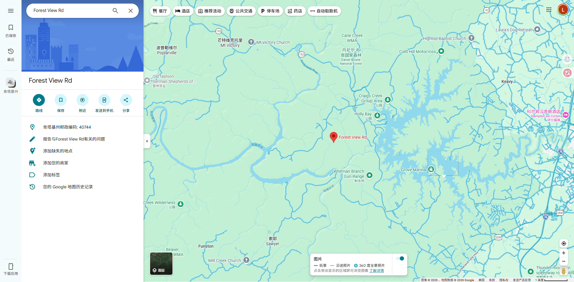 Google Maps 查询